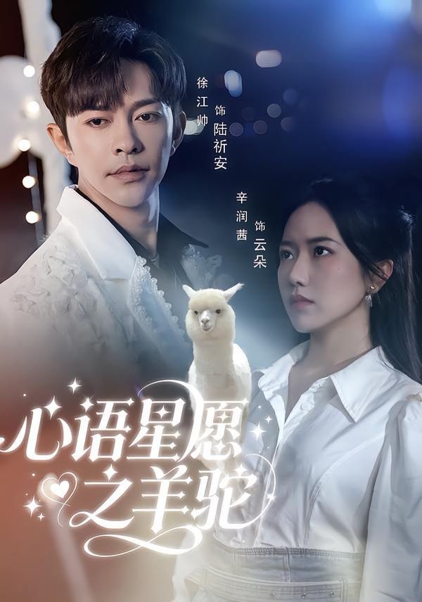 海贼王